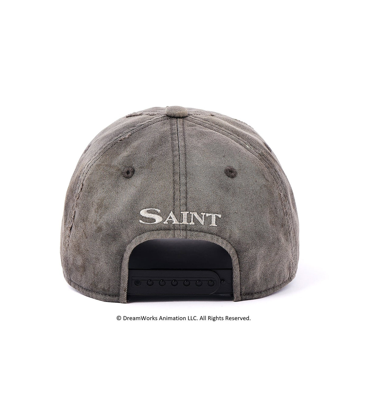 DW_CAP/SAINT