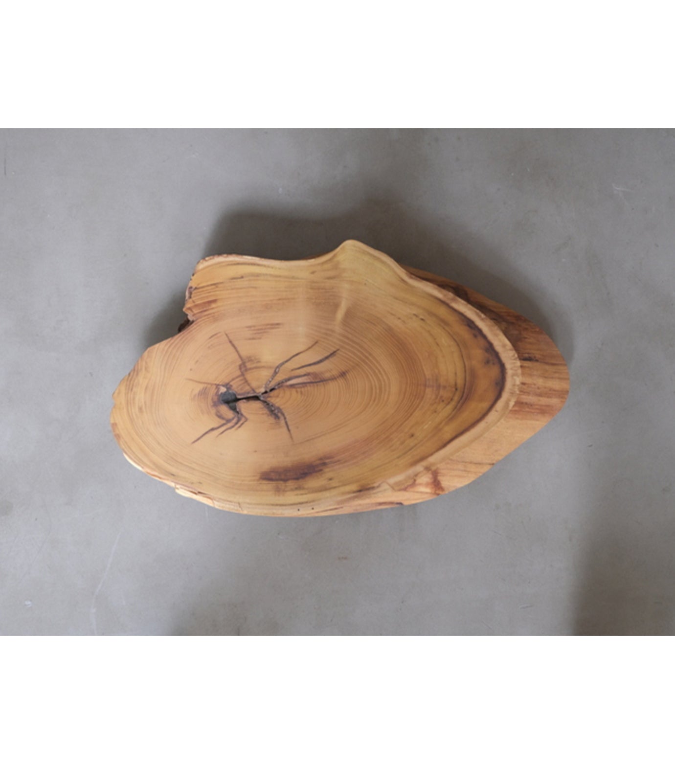 Wood Plate for Plants (ハゼ)