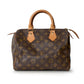 LV Monogram Speedy25