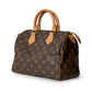 LV Monogram Speedy25