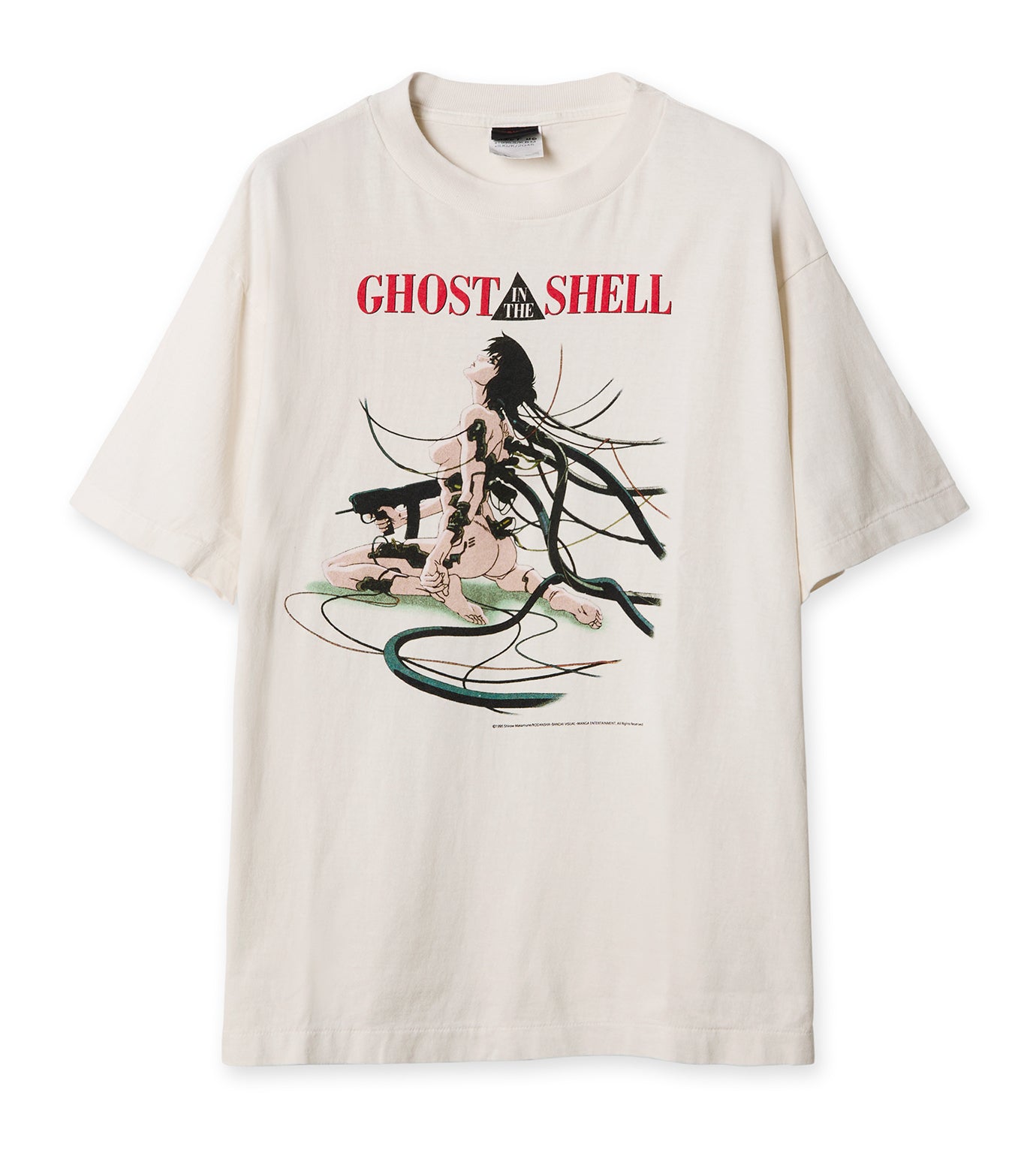 GS_SS TEE/GITS