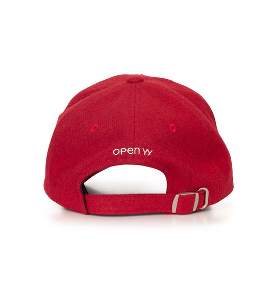 YY wool Heart Bone Ball Cap