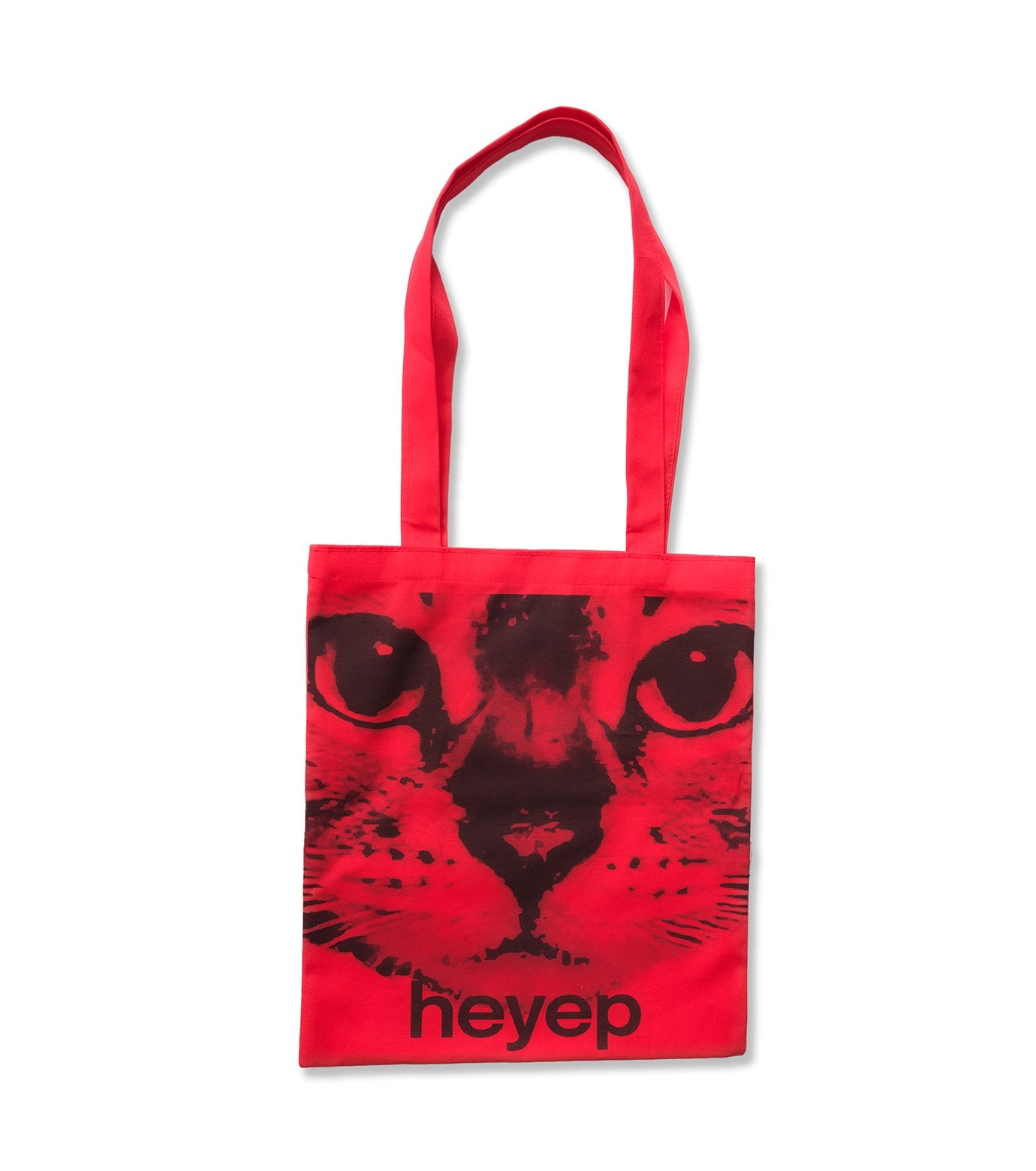 Cats Bag with Pouch Charm