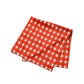 Check Printed Scarf