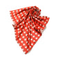 Check Printed Scarf