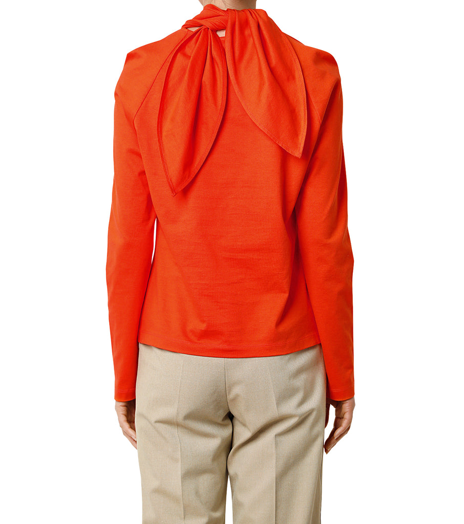 Tie Neck Top
